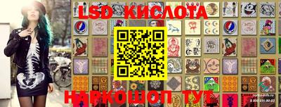 бошки Донской