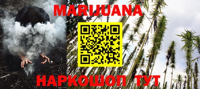 крисы Дубна