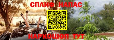 ПСИЛОЦИБИНОВЫЕ ГРИБЫ Заводоуковск