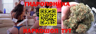 бошки Донской