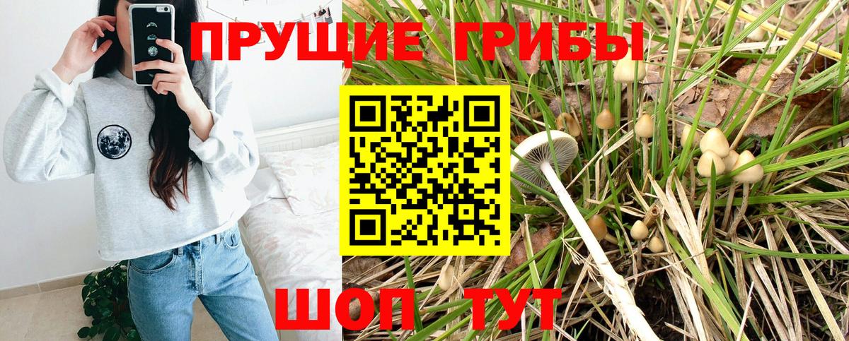 Псилоцибиновые грибы MAGIC MUSHROOMS Лабытнанги